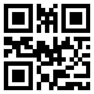 Il Qr Code di 3919552472