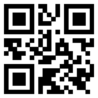 Il Qr Code di 3919552534