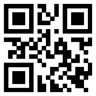 Il Qr Code di 3919552544