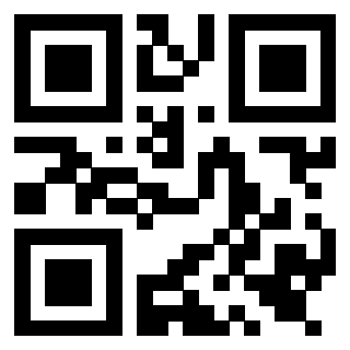Il Qr Code di 3919552561