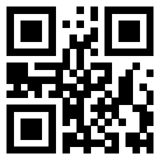 Il Qr Code di 3919552572