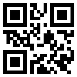 Il Qr Code di 3919552583