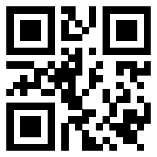 Il Qr Code di 3919553962