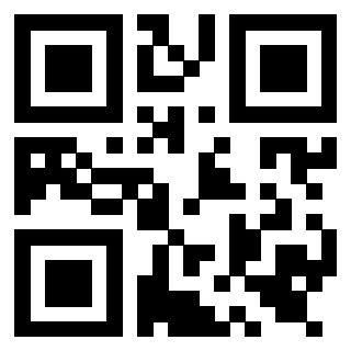 Il Qr Code di 3919553977