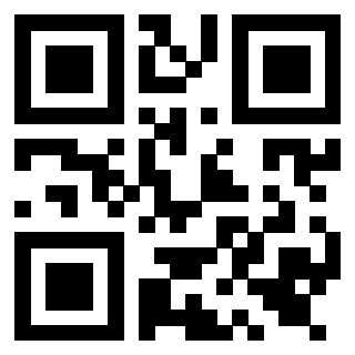 Il Qr Code di 3919553979