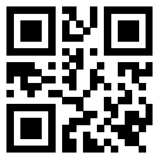 Il Qr Code di 3919553996
