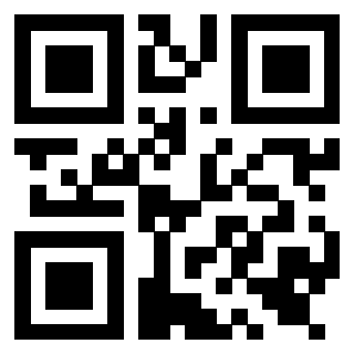 Il Qr Code di 3919554009