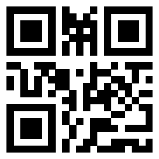 Il Qr Code di 3919554044