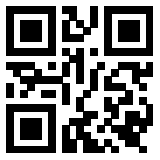 Il Qr Code di 3919554066