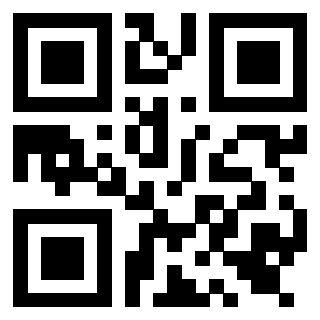 Il Qr Code di 3919554069
