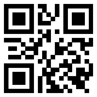 Il Qr Code di 3919554084