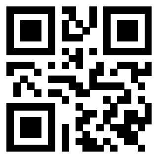 Il Qr Code di 3919554173