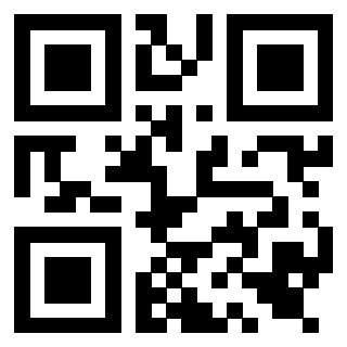 Il Qr Code di 3919554174