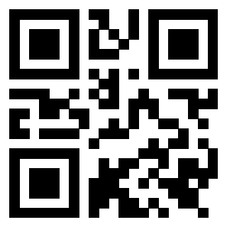 Il Qr Code di 3919554514