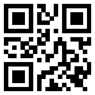 Il Qr Code di 3919554564