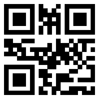 Il Qr Code di 3919554608