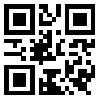 Il Qr Code di 3919554627