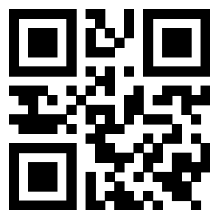 Il Qr Code di 3919554731