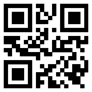 Il Qr Code di 3919554790