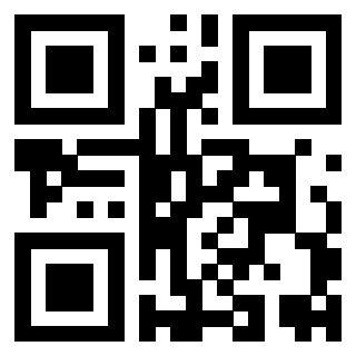 Il Qr Code di 3919554805