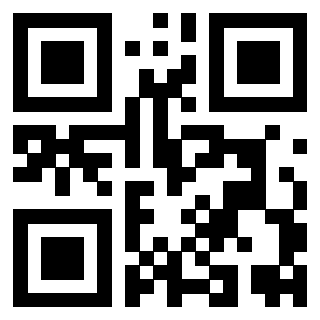 Il Qr Code di 3919554831