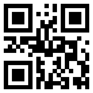Il Qr Code di 3919554856