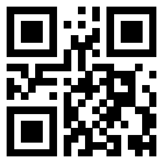 Il Qr Code di 3919554861
