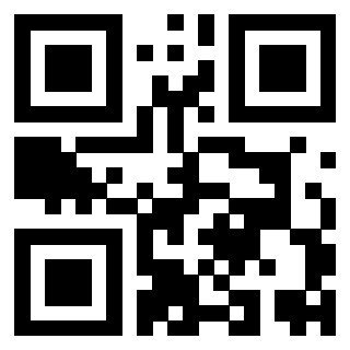 Il Qr Code di 3919554883