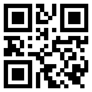 Il Qr Code di 3919554892