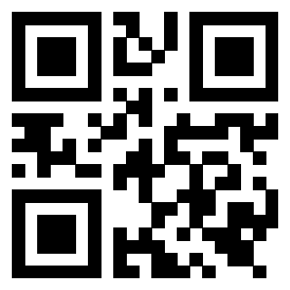 Il Qr Code di 3919554895