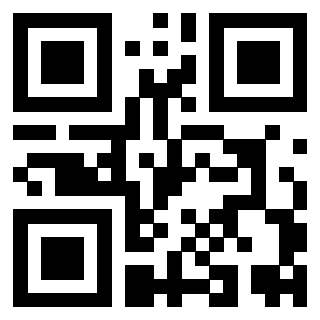 Il Qr Code di 3919557748