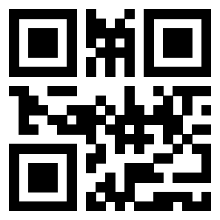 Il Qr Code di 3919557872