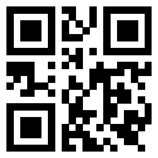 Il Qr Code di 3919557877