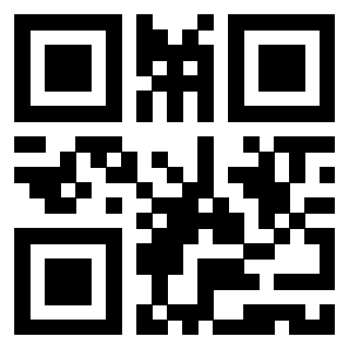 Il Qr Code di 3919557896
