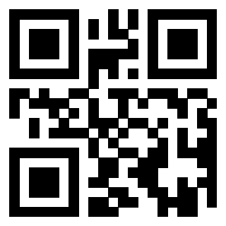 Il Qr Code di 3919557975