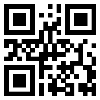 Il Qr Code di 3919558012