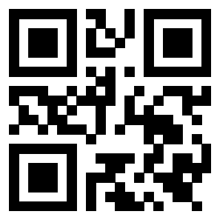 QrCode di 3919558053