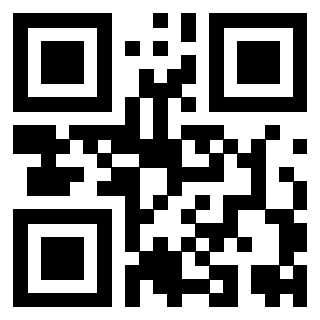 QrCode di 3919558055