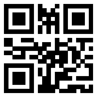 Il Qr Code di 3919558063