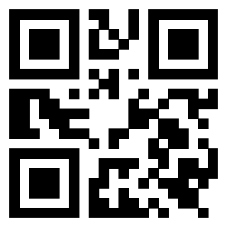Il Qr Code di 3919558086