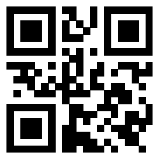 Il Qr Code di 3919558144