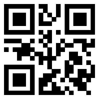 QrCode di 3919558207
