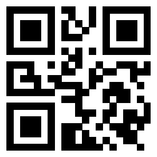Il Qr Code di 3919558213