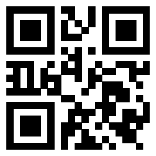 Il Qr Code di 3919558255