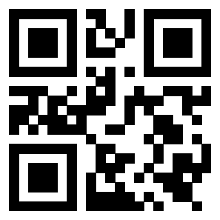 Il Qr Code di 3919558282