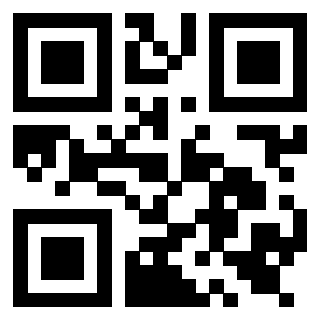 Il Qr Code di 3919558325