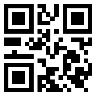 QrCode di 3919558347