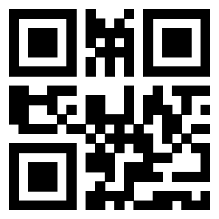 Il Qr Code di 3919558417