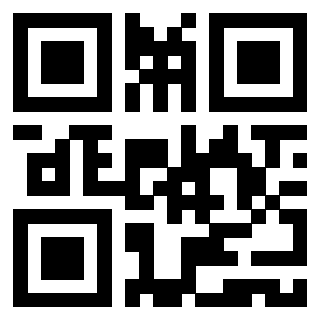 Il Qr Code di 3919558473