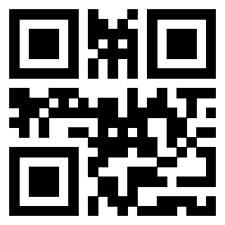 Il Qr Code di 3919558476